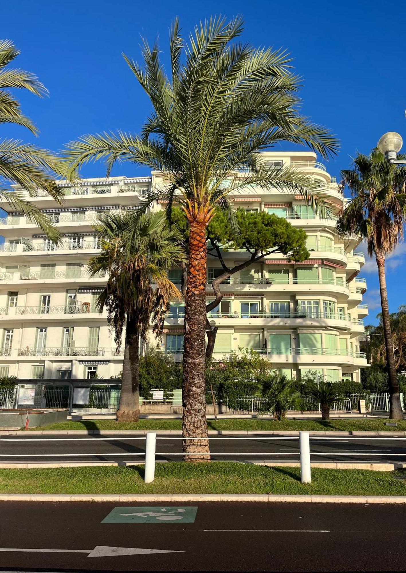 Nice 115 By The Sea Εξωτερικό φωτογραφία